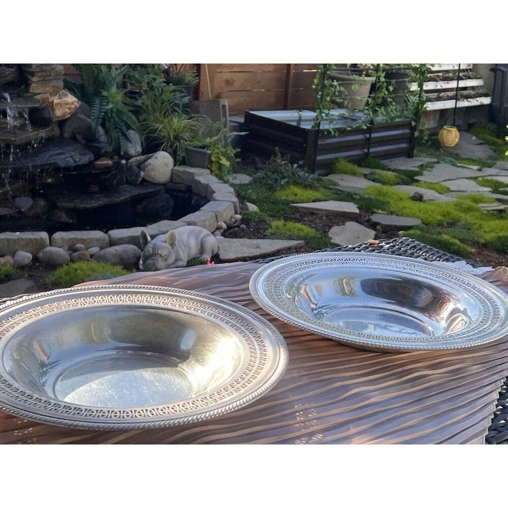Vintage Silver-plated 12